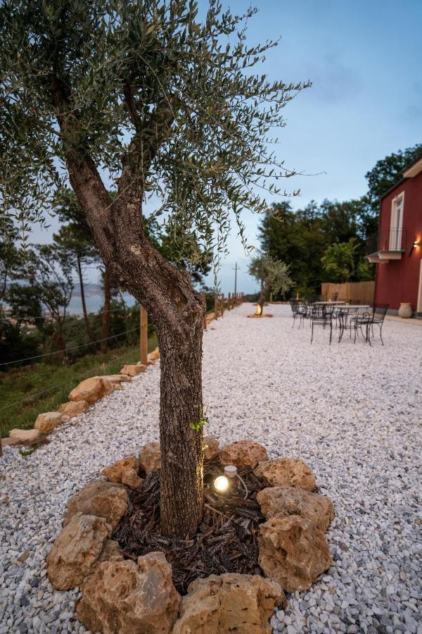 Agriturismo Belvedere 9 La Spezia Luaran gambar